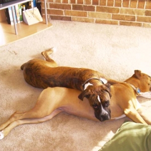Best Friends