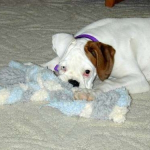 I love my fleecy rope thing!