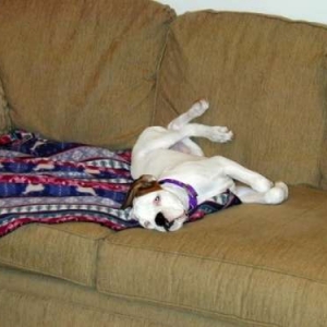 Yes, I'm so stressed . . .