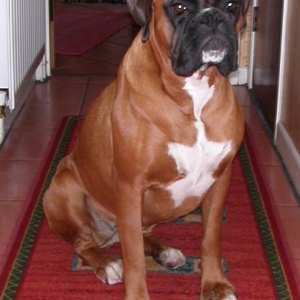 Elsa waiting on my mum and dad to come home