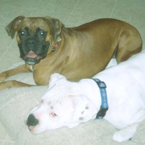 Fine and his new sister Nessa
