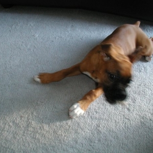 'Bet You Can't Catch Me!!!!