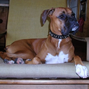 Watching TV