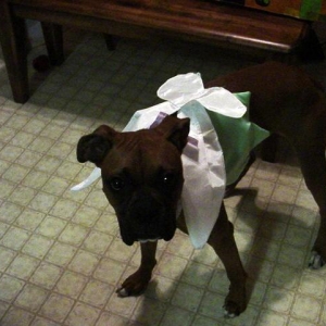Tinkerbell