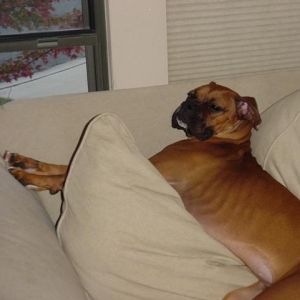 Sleeping on the job