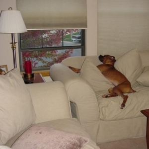 It's my couch now.