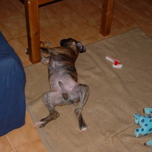 Sleeping..!