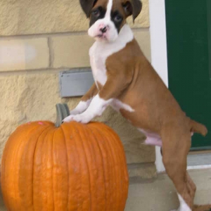 Can I eat this mom?