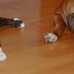 Jake & Ellie