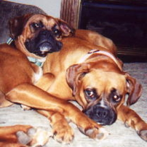 lazy girls