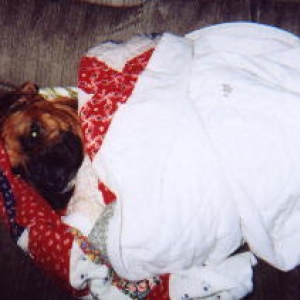 bundle of joy