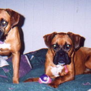 our girls
