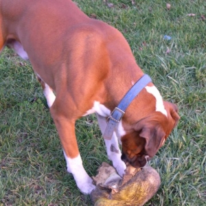 My Mommy Will Never Miss This Slipper, She Has One More!!!