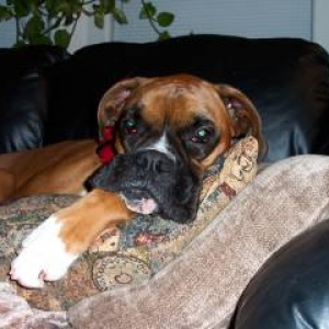 Taking a Snooze!
