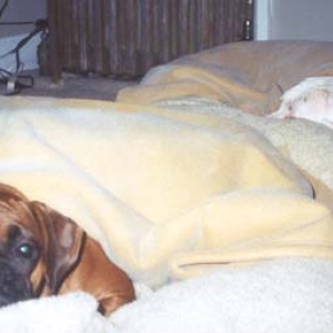 Bedtime at our house