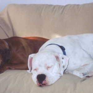 Finn and his sister Nessa napping after play