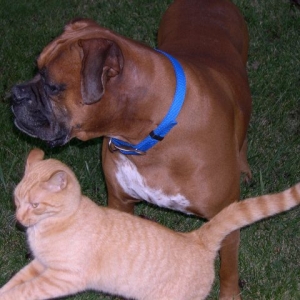Friends Forever!!!