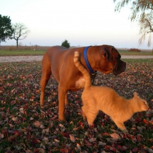 Come On Rusty, Let's Play!!!!