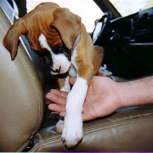 Thanks for picking me up.