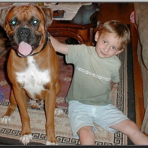 The Boys