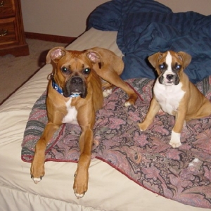 My Babies