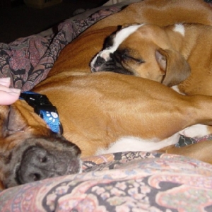 Otis and big Sis