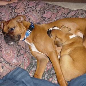Naptime