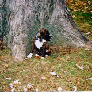 Piper waiting for Kali