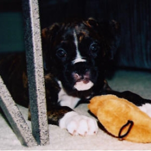 Piper and her OTHER new toy!