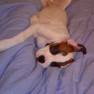 sleepy time