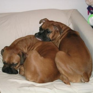 cuddle time