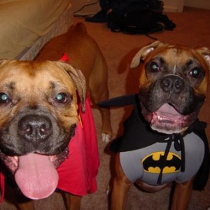 superheros