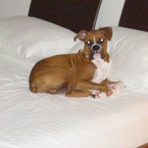I thought you said bedtime?