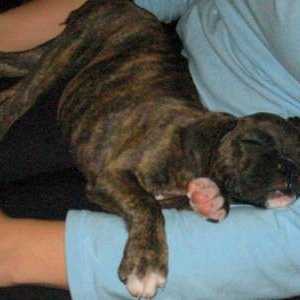 First Day, Milla's ride home