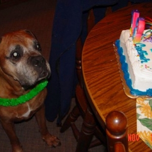 Is that cake I smell?