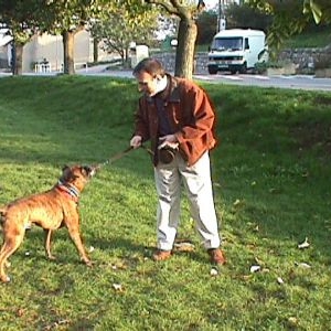 Esteve and Bismarck