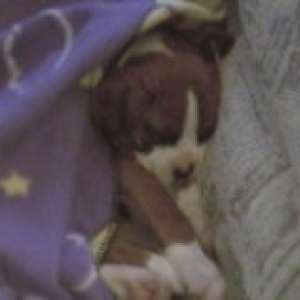 sleepy