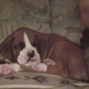 sleepy2