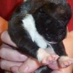 Raina-10daysold