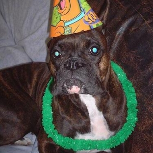 Birthday Girl