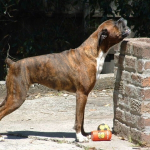 Voicing her opinion!