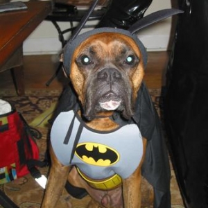 Cole at Halloween Party