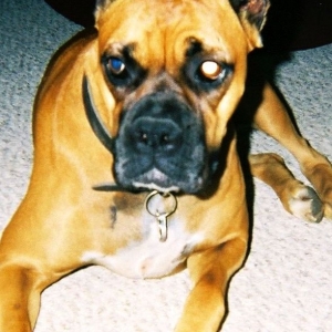 Chloe
