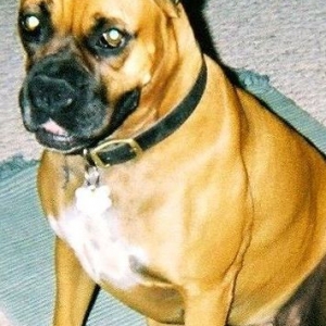 Chloe