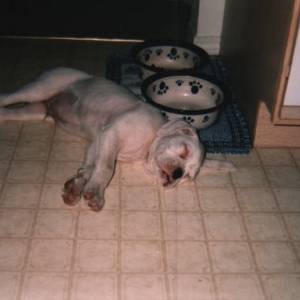 Ate too much