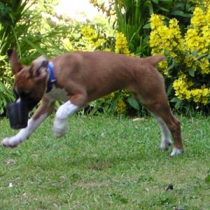 Playin' with the plant pot