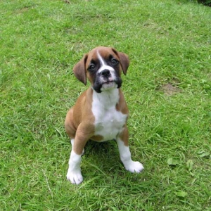 Wotcha lookin at?