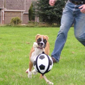 Can't catch me