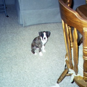 8 weeks