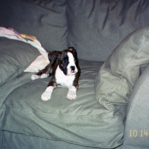 Lounging on the couch